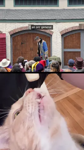 You should all follow @scipioscreams so he can start earning his keep 😹 Also get your own @Emberglow Gaming cockade you know where.  #cats #renfaire #renfest #lesmis #jacqueszewhipper        