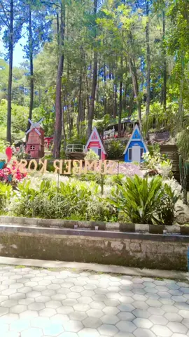 tryo asyik beraksi#fypシ゚ #janganlupabahagia #hiburantiktok #indiantiktok #foryoupage 