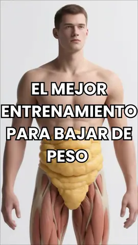 🔥🏋️ El mejor entrenamiento para bajar de peso no es correr ⚡ Acelera tu ritmo cardíaco, activa las hormonas quemagrasas y mantiene tu metabolismo encendido por horas. 💪 Trabaja piernas, torso, brazos, pulmones y corazón al mismo tiempo. 🔥 Quita grasa abdominal más rápido que el cardio tradicional. ⏳ Y lo mejor: no necesitas equipo, ni horas en el gym. 💥 El secreto: ¡Burpees! Solo 3 series de 15 al día pueden transformar tu cuerpo. 💬 Comenta libro 📘 y síguenos para optimizar tu salud 🌿 #salud #saludybienestar #vidasana #ejercicio 