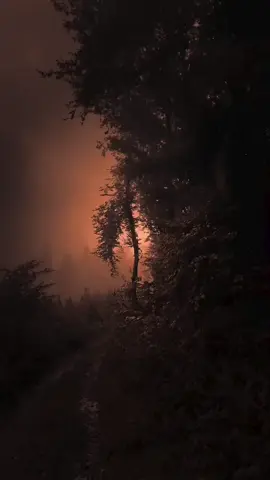 #vibesnaturals #relax #calm #vibes 