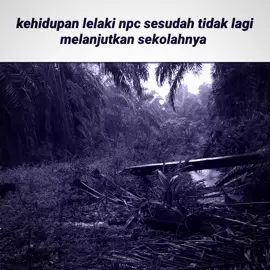 #petanisawit #wibu #masukberandafyp #pelangsir_buah_sawit 