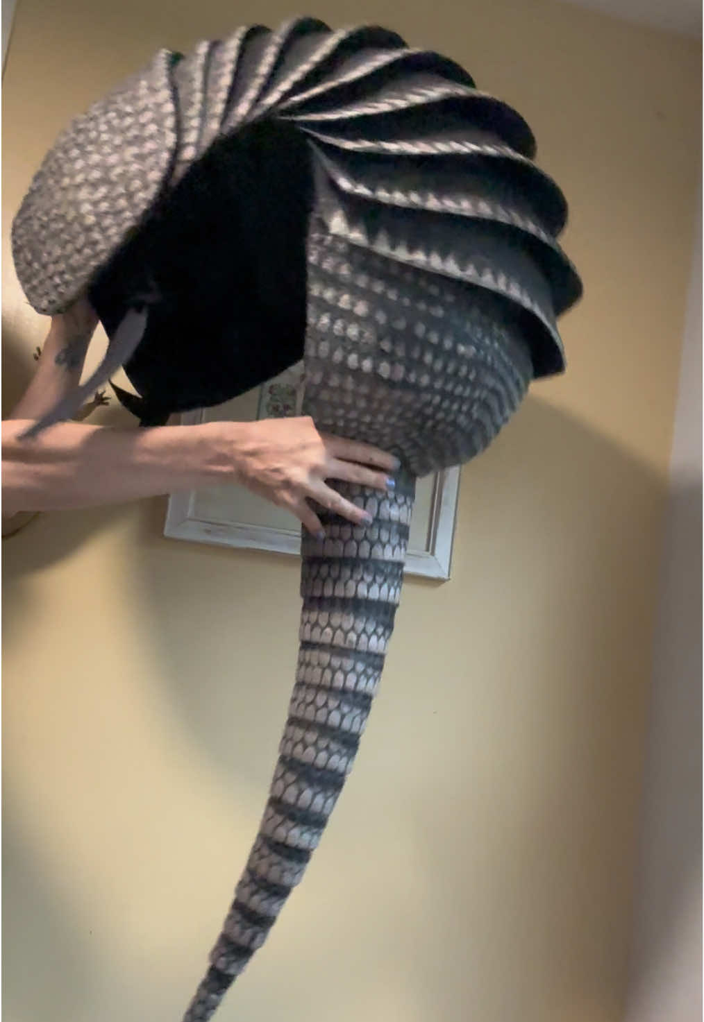 Replying to @La Toxiica I did forget the tail!! #halloween #diycostume #armadillo 