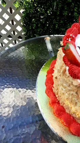 torta especial, para los que tenemos poca batería social 🤭 #31minutos  #bodoque  #happybirthday #pemuco 