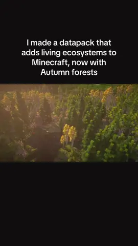 #Minecraft #fyp 