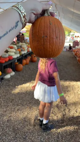 🎃  #pumpkinpatch #dkfarms #daughterlove #transitionsounds #mygirlmygirlmygirl 