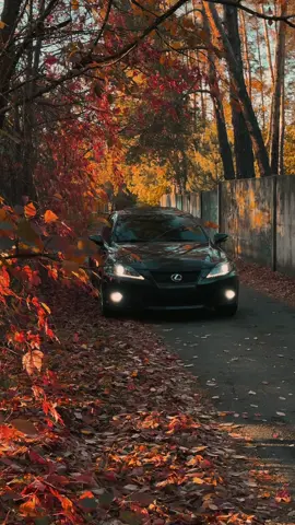 🍁🍁🍁#lexus #is #spring #vibe 