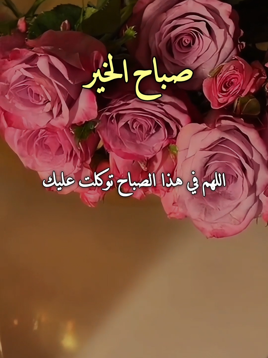 اللهم في هذا الصباح توكلت عليك🤲♥️🌿🌸 #يارب #دعاء_الصباح #صباحكم_أحلى_صباح #صباحكم_معطر_بذكر_الله #دعاء_يريح_القلوب 