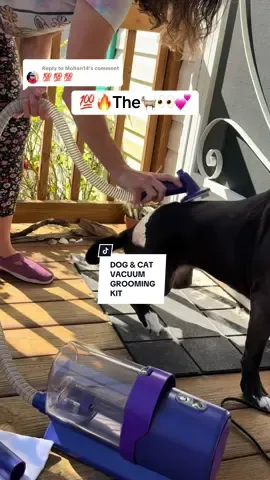 Replying to @Mohan14  . 💯🔥The🐐👀💕 . Work smarter & save time & money~grab your pet grooming vacuum kit before you're burried in fur😳 . #petgroomingvacuum #doggroomingvacuum #groomingvacuum #geoorood #geooroodpet @Geoorood pet 
