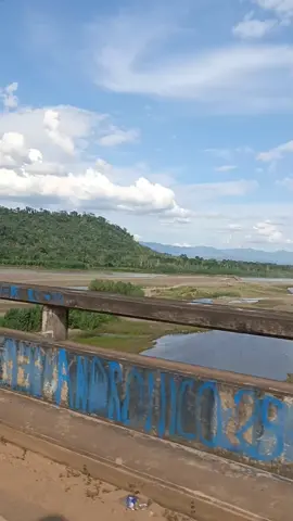 🌲🌴🌹🏞️🌳🌴✨🎤🎤