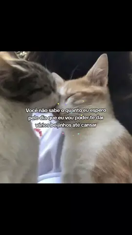 ai amor,vc não imagina o quanto eu te amo,estou louca pra te ver,te abraçar e de te dar beijinhos em todo seu corpinho hihi,to sempre aq pra te ajudar viu? conta amcg sempre,pra tudo. Eu te amo Luis #Luazinha__ #entregatiktok #fyypage #fpy #viral_video 