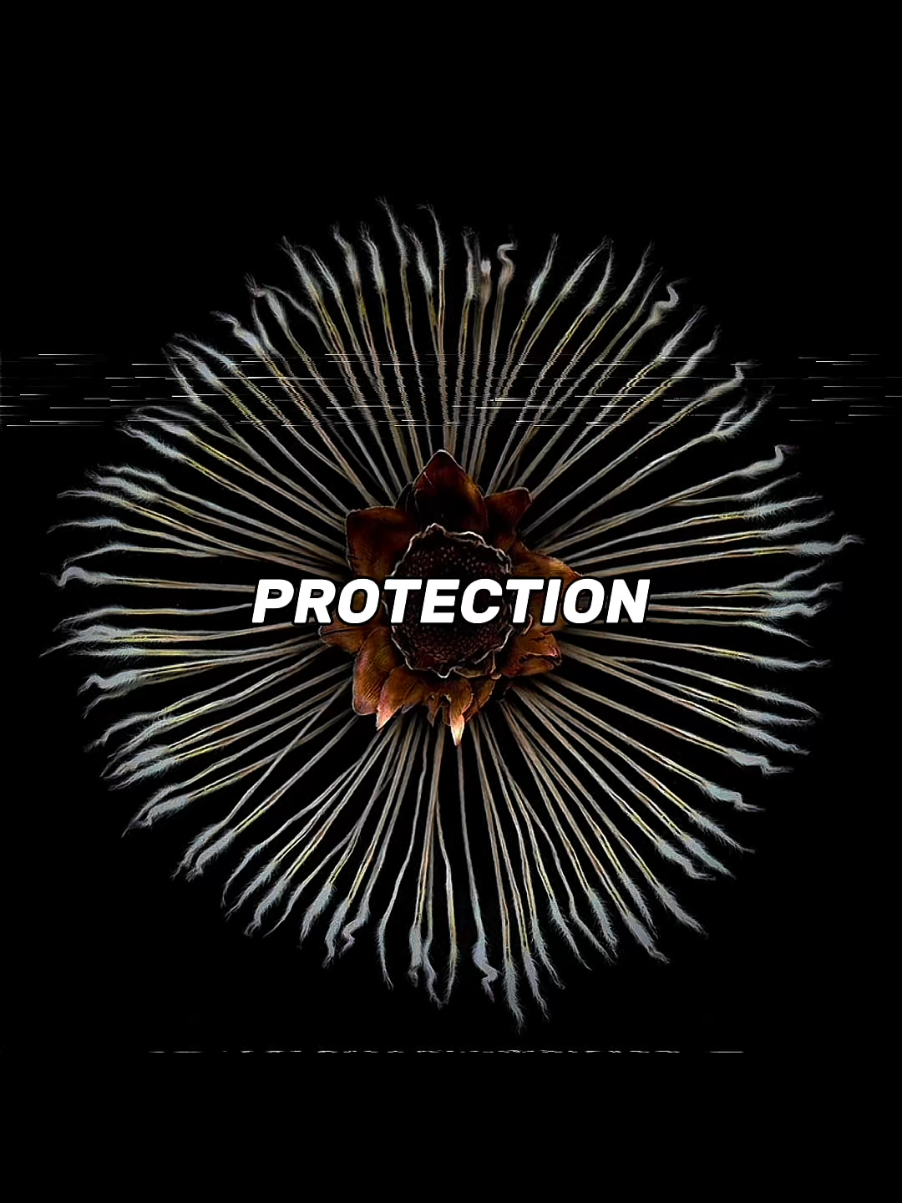 They know what’s wrong — but their body won’t let them change. #brain #psychology #darkpsychology #brainscience #neuroscience 