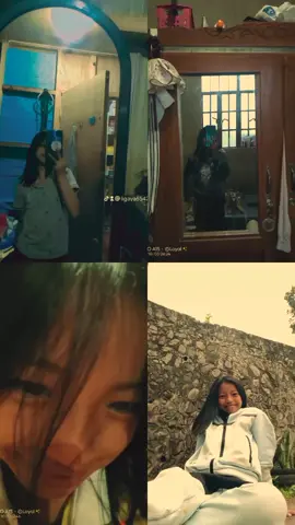 were just one bug family