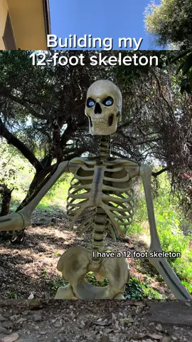 I’d say it turned out pretty good #halloween #skeleton #12ftskeleton #DIY #decorations 