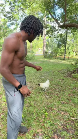 #supplementsthatwork @BROQ.LIFE  