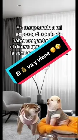 El dinero se hizo para gastar! 🤭 #Meme #humor #paratii #esposos #viral 