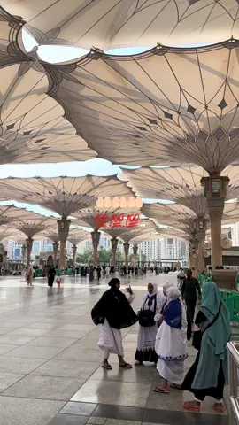 #Islamicvideo____ #Inspirational #Motivational #Life_____________________ #SaudiaArabia2024_ 