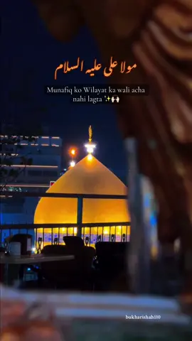 Munafiq ko wilayat ka wali acha nahi lagta 🙌🏻✨ #haqali #yaali #shiastatus 
