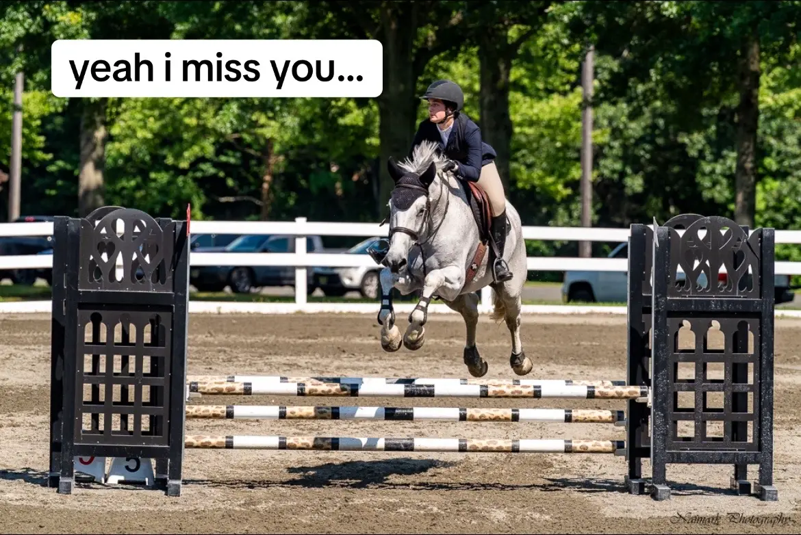 not enough hours in the day 🥲🥲  #horse #eq #equestian #foryoupage #fyp 