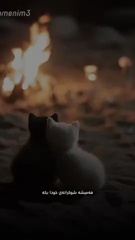 سوباس خودايه بو هامو ئاوشتاني پيمت باخشي 🤲الحمدالله❤️