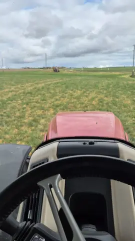 egal wie,wir machen es immer mit einem Lächeln im Gesicht #pphagenagrarservicegbr #lupchensstallanlage #farmerlife #case #260 