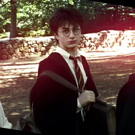 hii 👋 | ib/rm: @walkerstbh ll scenes: @anetescenes / pottaheditzzzzz.sp ll cc: leighfilmed || #harrypotter #harrypotteredit #hazzfilmss #aftereffects #fyp 