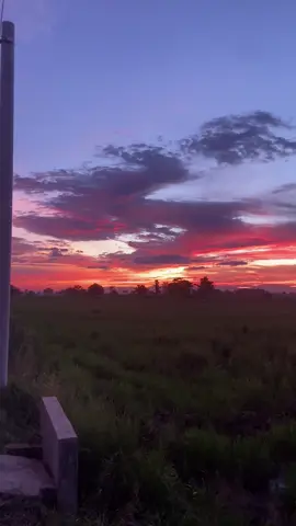 #freetostory #vibes #sunset #trending 