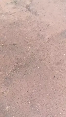 EL Mirador - Cerro del Gallo - San Félix ❤️🇻🇪 #SANFELIX #CiudadGuayana #estadobolivar #mirador #ElMirador 