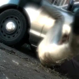 Rick Grimes 🔥 #thewalkingdead #twd #walkingdead #fypppppppppppppp #rickgrimes 