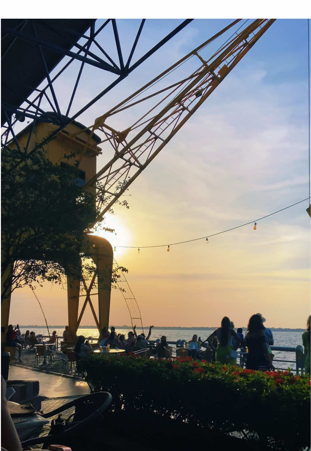 ✨📍Fim de tarde na Estação das Docas 🌆  #belém #pará #brasil #fyp #amomeupará 