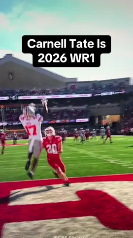 Carnell Tate is ELITE #carnelltate #jeremiahsmith #ohiostate #widereceiver #cfb 