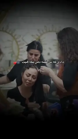 #music #duhok_zaxo_amedi_semel_akre 