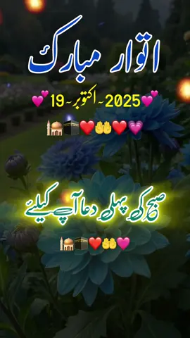 happy sunday good morning status❤️19-October-2025#fypシ #goodmorning #trending #fypシ 