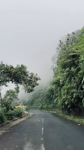 Ambil aja buat bahan atau mentahan video, selebih ya edit sendiri. #besuki #wisatakediri #kediri #fyp #4u  Lokasi : Wisata Besuki Kediri