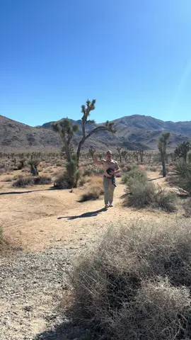 el desierto de Mojave