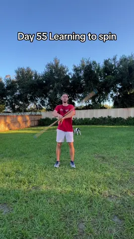 Day 55 | Very Sketchy😅 #bostaff #kungfu 