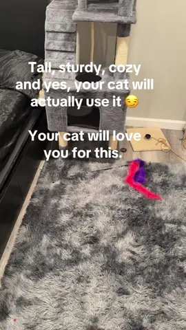 #PetFinds #CatParents #SpoilYourCat #CatTok #ragdollcat 