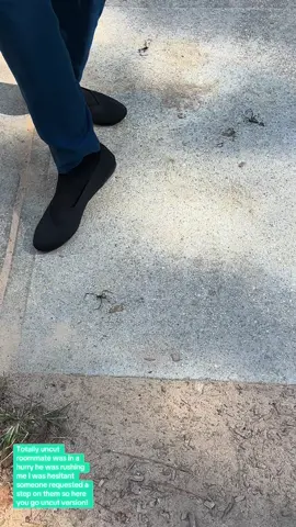 Totally uncut stepping on joro spiders.  video request ##Stepoedon##Spider #joro 