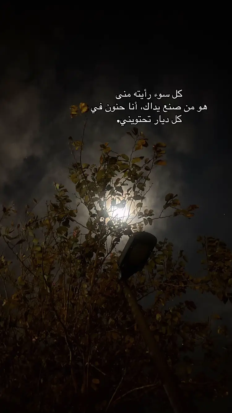 #fyp #fypシ゚ #foryou #اكسبلور #فوريو 
