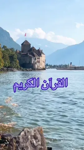 #LIVEIncentiveProgram #GoLIVEGrowFast #PaidPartnership 