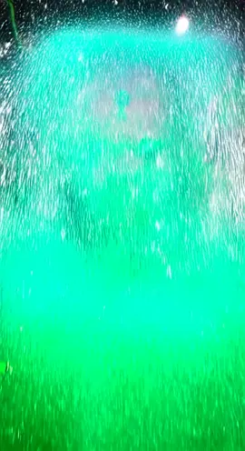 #alabama #fun #ai #tiktok 