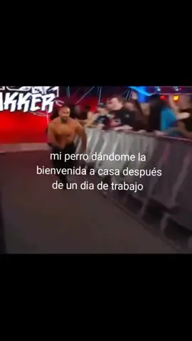 Me extraño