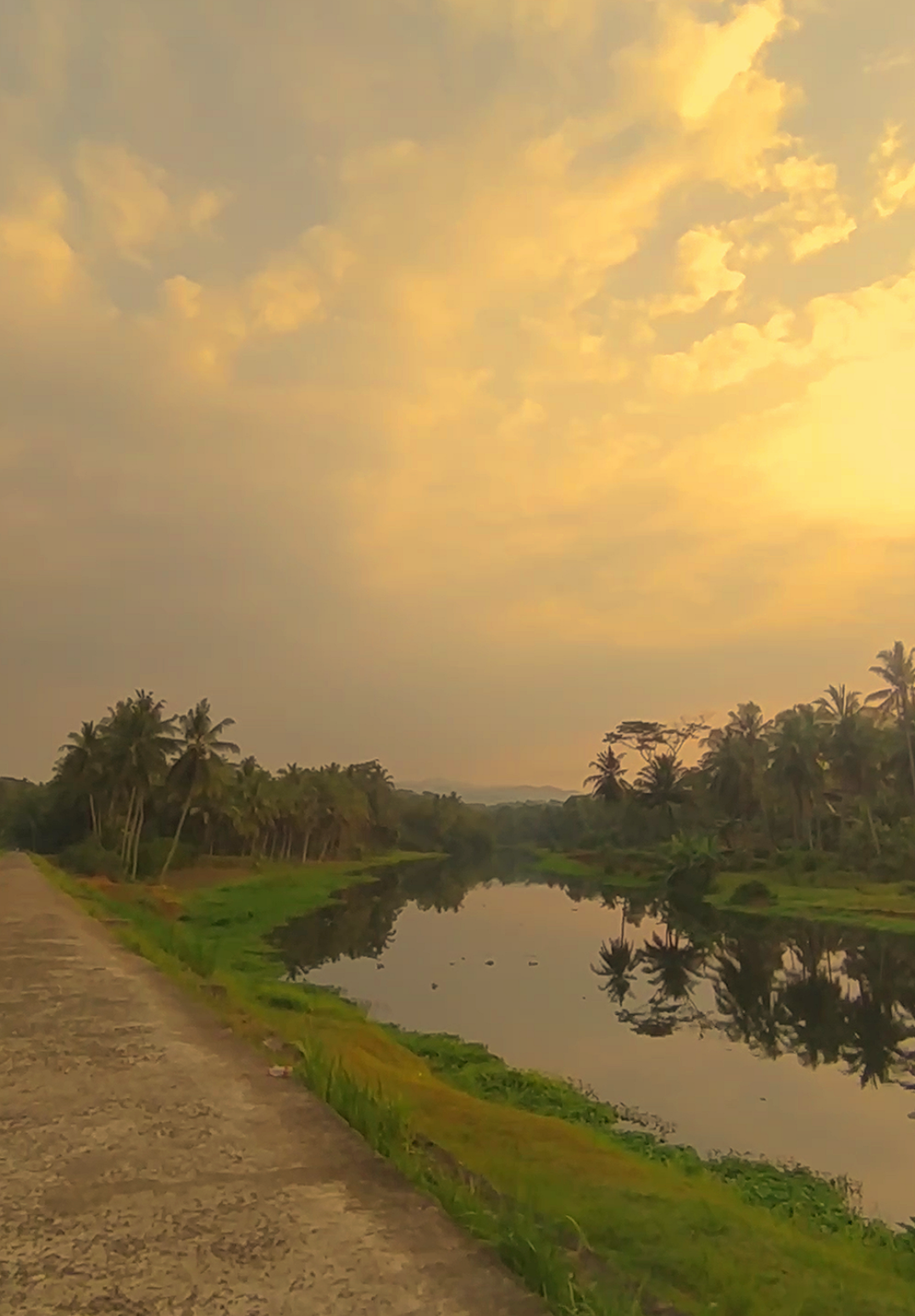 vibes 2019#vibes2019 #fyp #masukberanda #vibespagi #sunrise 