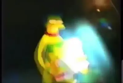 π #lossimpson #homero #fox #up #universidaddepalermo