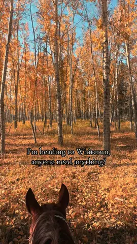 Why play video games when you can do it in real life? #skyrim #skyrimtok #montana #videogame 