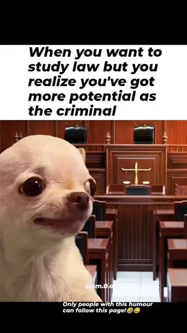 🤣😂Follow this page for more evil memes  Evil Dog Merch link in Bio!  Want something custom?  We'll add it for you instantly!🐶 #criminal #lawstudent  #memes #diabolical #evildog 