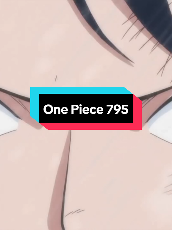 One Piece 795