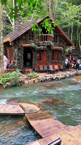 Những tháng cuối năm Đà Lạt nhiều view đẹp quá …. 📍 Vườn Địa Đàng  #TikTokAwardsVN #dalatreviewtravel #latnoitravel #vuondiadang 