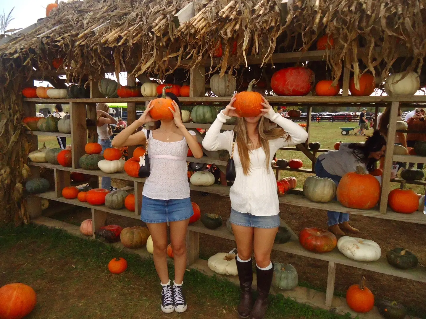 PUMPKIN 🎃