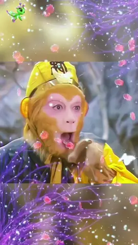 LÝ QUANG CẢNH 76 Thanh Thanh 75💞💞 GẶP NHAU GIỮA RỪNG MƠ chào buổi sáng cuối tuần chủ nhật thư giãn bên gia đình vui vẻ hạnh phúc bên người thân yêu @🎀HỒNG TRANG🌹🌹cảm ơn @💎THƯƠNG THUaơNG💎cảm ơn @Thành Lê 882 cảm ơn @HOA PHƯỢNG cảm ơn @Diễm xưa 83 🥀🫦cảm ơn @Nam Bùi cảm ơn Lê Phúc cảm ơn @Chung Nguyên cảm ơn Thanh Nam cảm ơn Nam Thanh cảm ơn @💎Thanh Thanh 85🏖🏖 cảm ơn LÝ QUANG CẢNH 1976 #xunhacchayngay