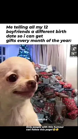 🤣😂Follow this page for more evil memes  Evil Dog Merch link in Bio!  Want something custom?  We'll add it for you instantly!🐶 #gifted #diabolical #evildog #memes #fyp 